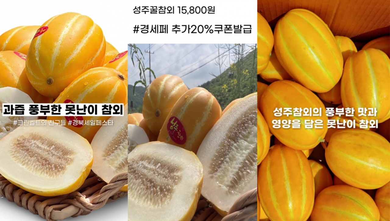 그린벨트의 친구들 - 못난이 참외