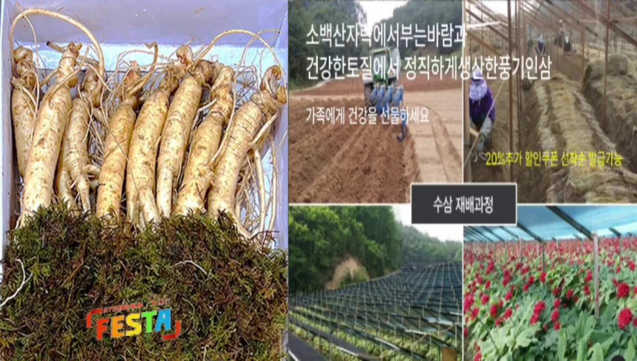 풍기인삼제조창 - 삼우리 6년근 풍기인삼