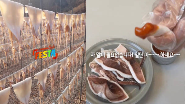 오징어엄마- 오징어
