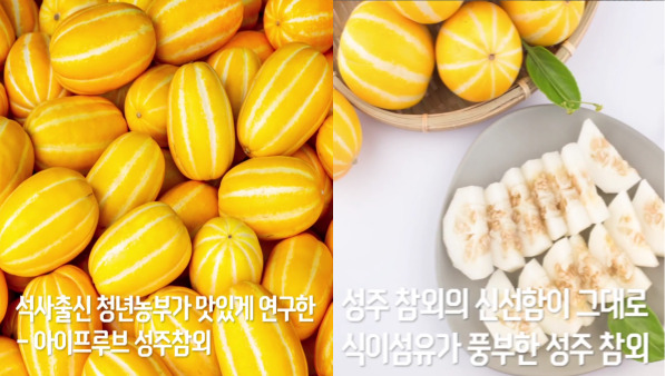 청년농부- 참외