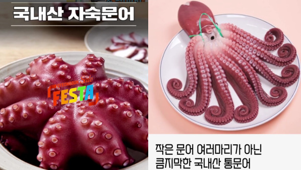 조선의 꽁치 - 국내산 자숙 문어