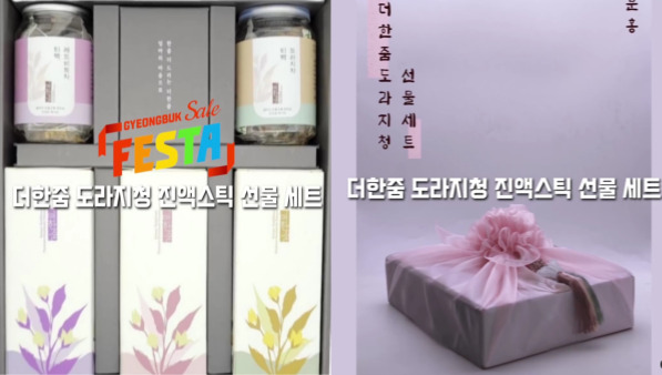 더한줌- 도라지청 진액 세트
