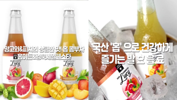 29도라인 - 홉이든 홉 콤부차