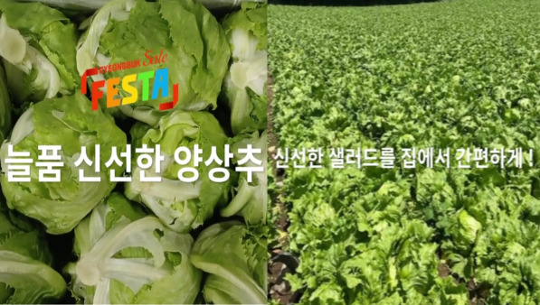 늘품영농조합법인- 양상추