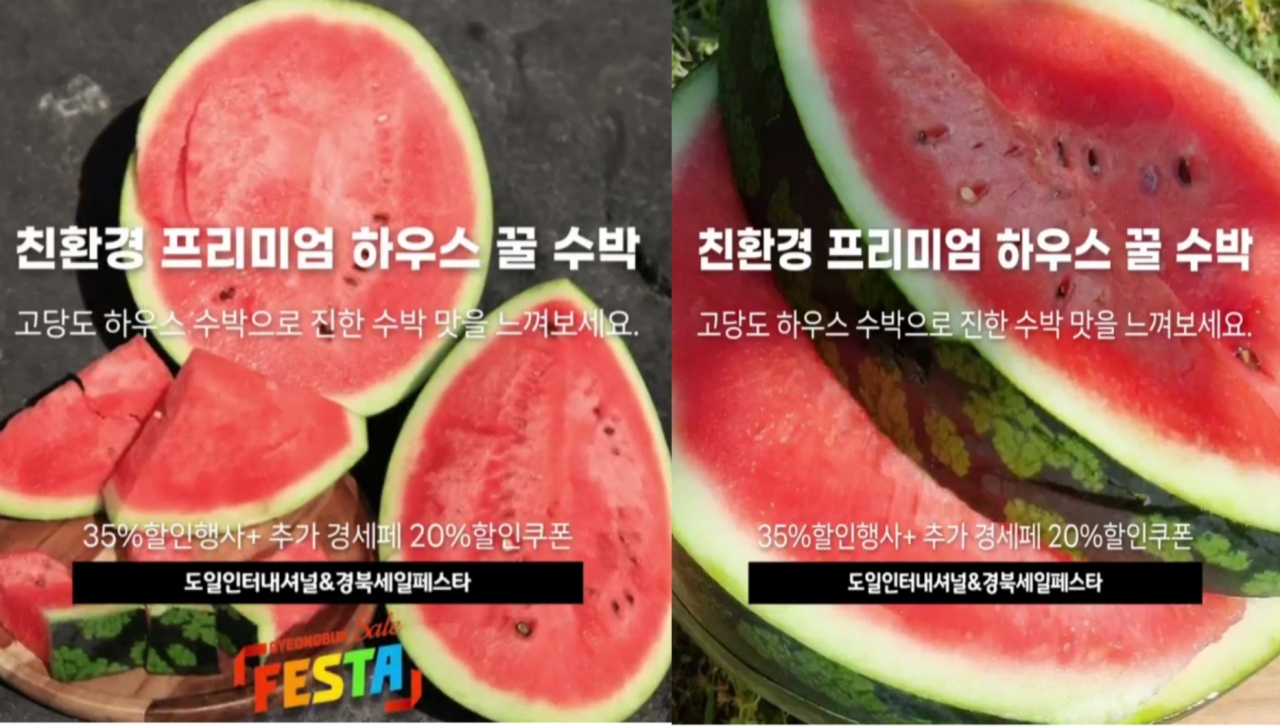 도일인터내셔널 - 친환경 프리미엄 하우스 꿀 수박